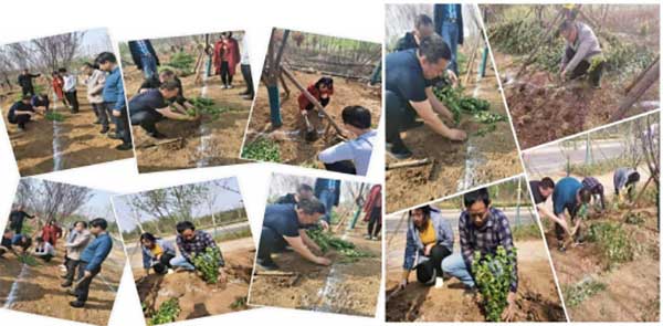 牟汶河—華瓴林之行